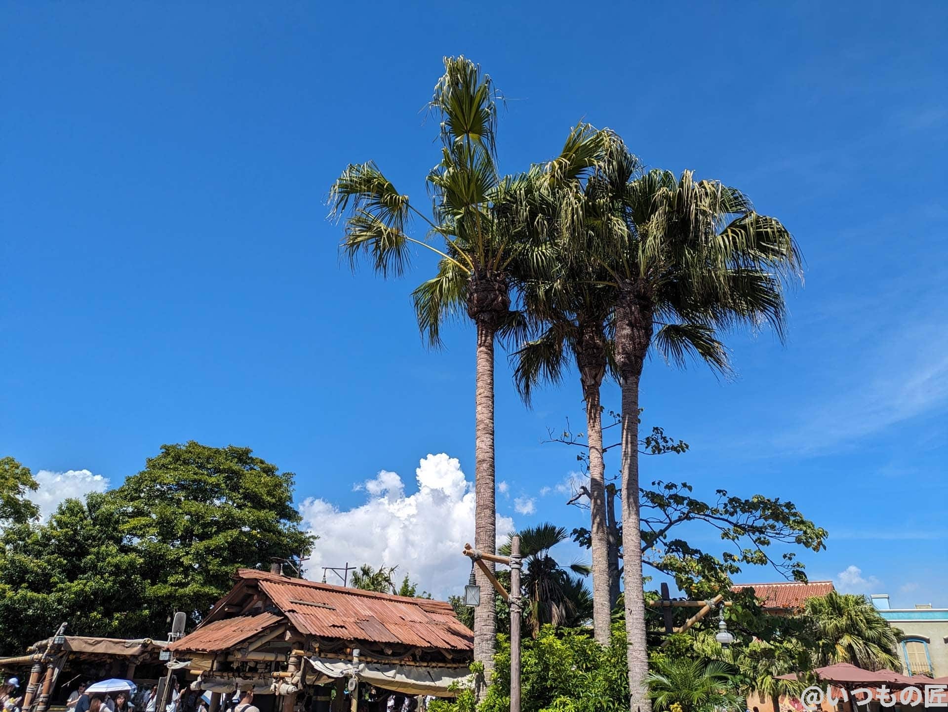 google-pixel-7a-photo-landscape-01 | モバイル比較レビュー.jp Google Pixel 7aの風景作例1