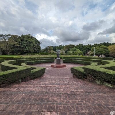 google-pixel-7a-photo-zoom-05-2 | モバイル比較レビュー.jp 超広角カメラ(光学ズーム0.5倍)