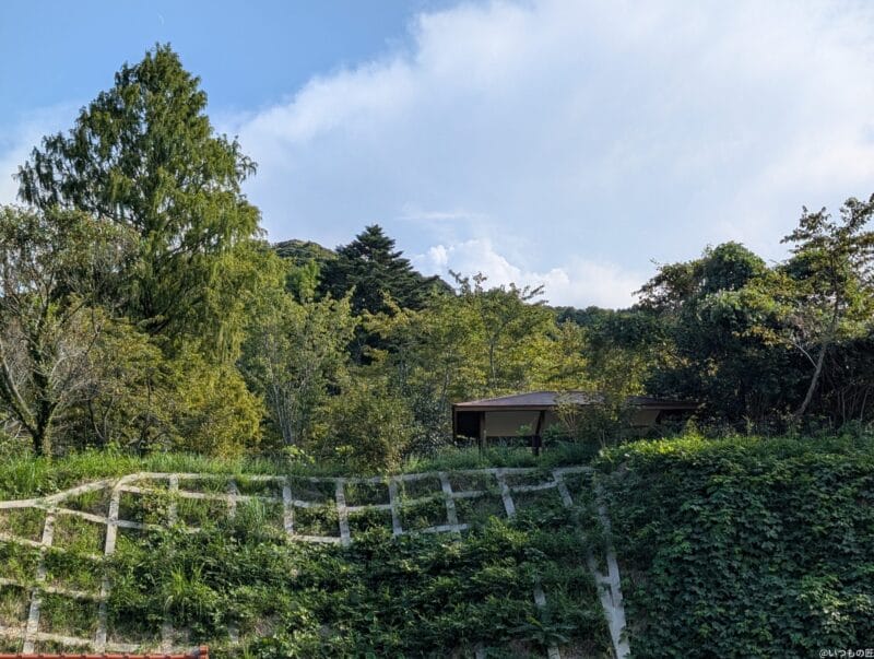 google pixel 9 pro xl のカメラでhdr撮影した写真 | モバイル比較レビュー.jp Google Pixel 9 Pro XL カメラ Google Pixel 9 Pro XL でHDR撮影した写真