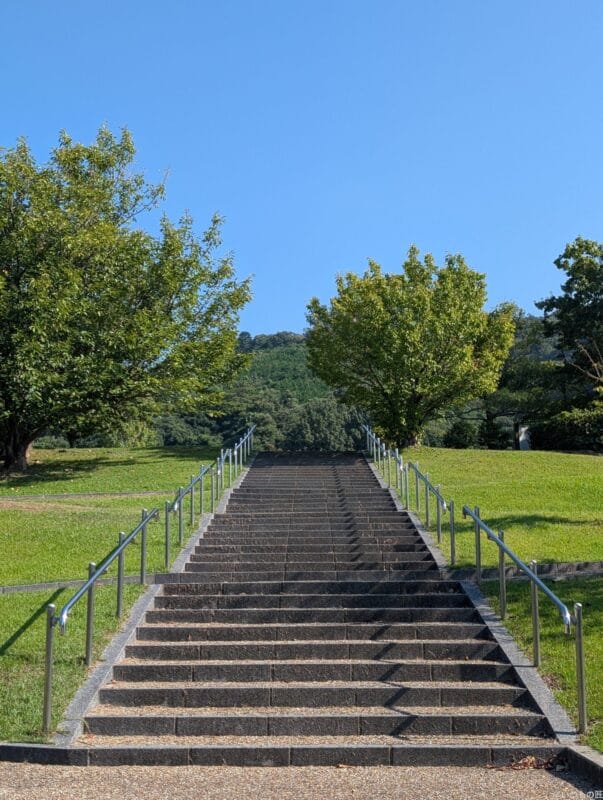 Google Pixel 9 Pro XL カメラ Google Pixel 9 Pro XLで撮影した風景写真