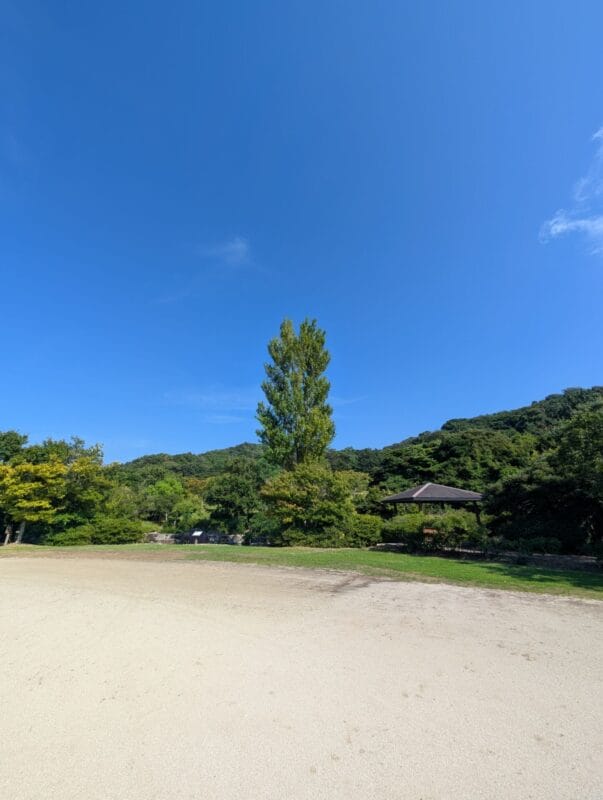 Google Pixel 9 Pro XL カメラ Google Pixel 9 Pro XLでズーム撮影した風景写真