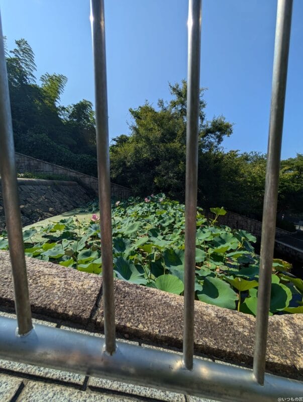 google pixel 9 pro xlのカメラでズーム撮影した風景写真 | モバイル比較レビュー.jp Google Pixel 9 Pro XL カメラ Google Pixel 9 Pro XLでズーム撮影した風景写真