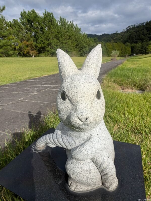 Google Pixel 9 Pro カメラ Google Pixel 9 Pro のインカメラでズーム撮影した写真