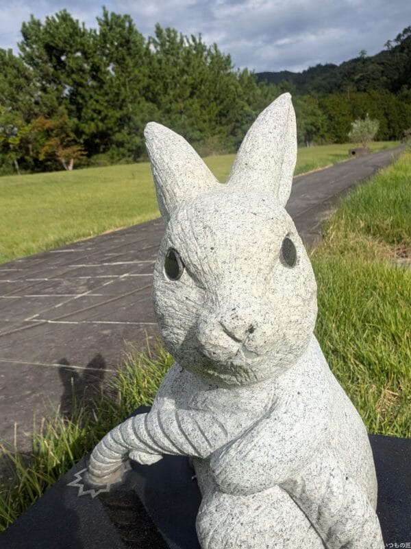 Google Pixel 9 Pro カメラ Google Pixel 9 Pro のインカメラでズーム撮影した写真