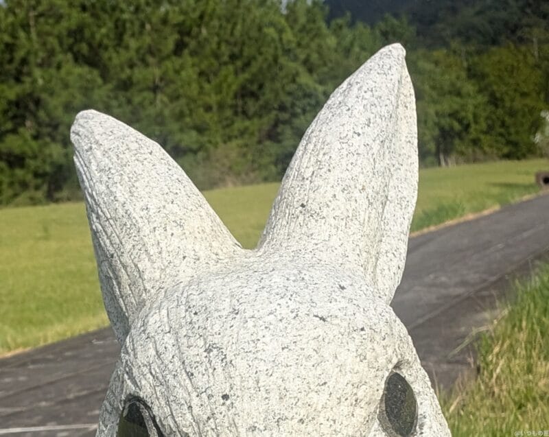 Google Pixel 9 Pro カメラ Google Pixel 9 Pro のインカメラで撮影した写真