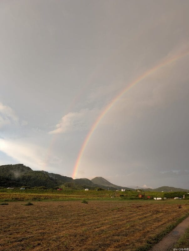 google pixel 9 proのカメラで撮影した風景写真 | モバイル比較レビュー.jp Google Pixel 9 Pro カメラ Google Pixel 9 Pro で撮影した風景写真