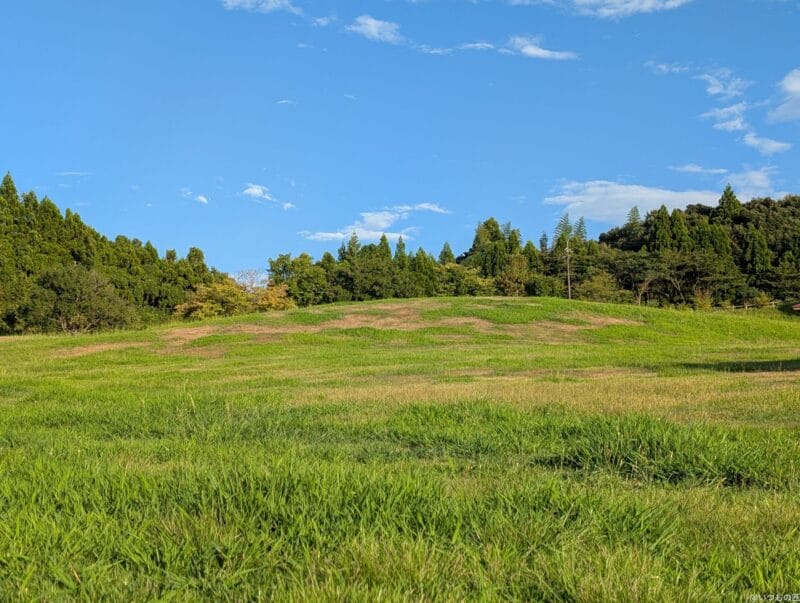 Google Pixel 9 Pro カメラ Google Pixel 9 Pro で撮影した風景写真