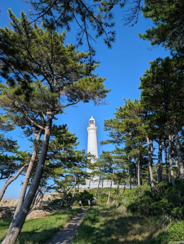 Google Pixel 9 Pro カメラ Google Pixel 9 Pro で撮影した風景写真