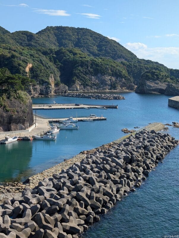 Google Pixel 9 Pro カメラ Google Pixel 9 Pro で撮影した風景写真