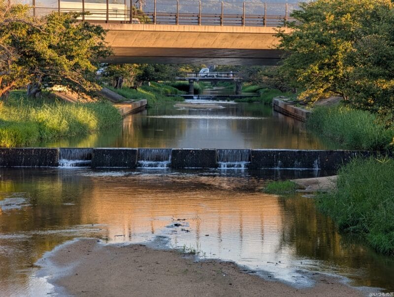 Google Pixel 9 Pro カメラ Google Pixel 9 Pro で撮影した風景写真