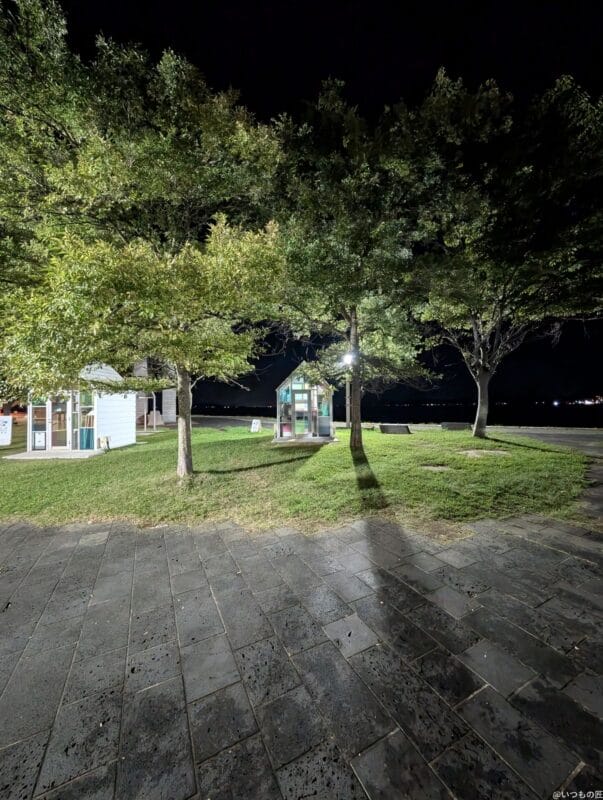 google pixel 9 pro の通常モードでズーム撮影した夜景写真 | モバイル比較レビュー.jp Google Pixel 9 Pro カメラ Google Pixel 9 Pro の通常モードでズーム撮影した夜景写真