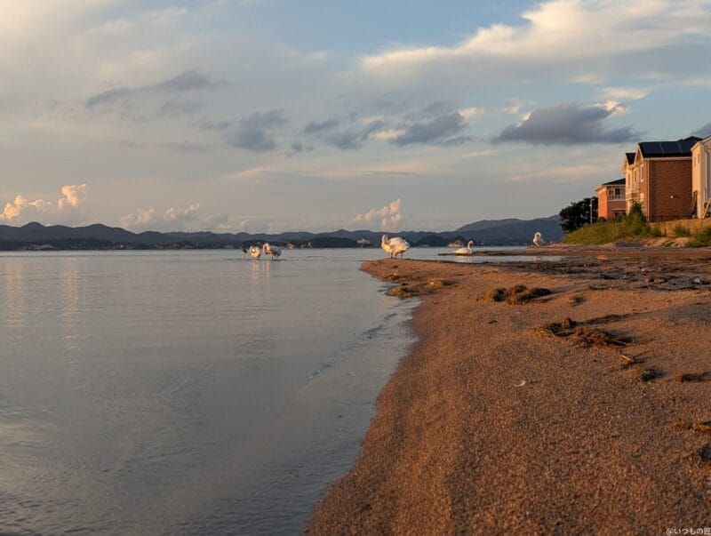 Google Pixel 9 Pro カメラ Google Pixel 9 Pro でズーム撮影した風景写真