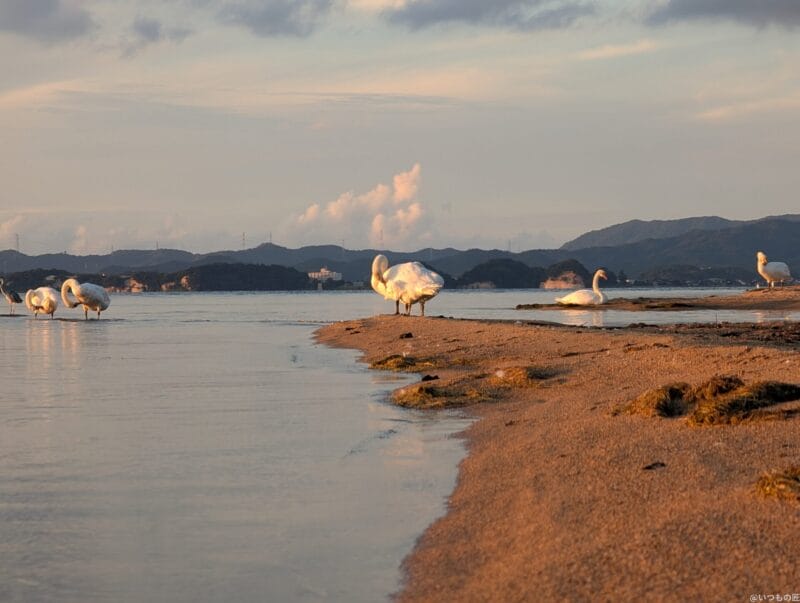 google pixel 9 proのカメラでズーム撮影した風景写真 | モバイル比較レビュー.jp Google Pixel 9 Pro カメラ Google Pixel 9 Pro でズーム撮影した風景写真