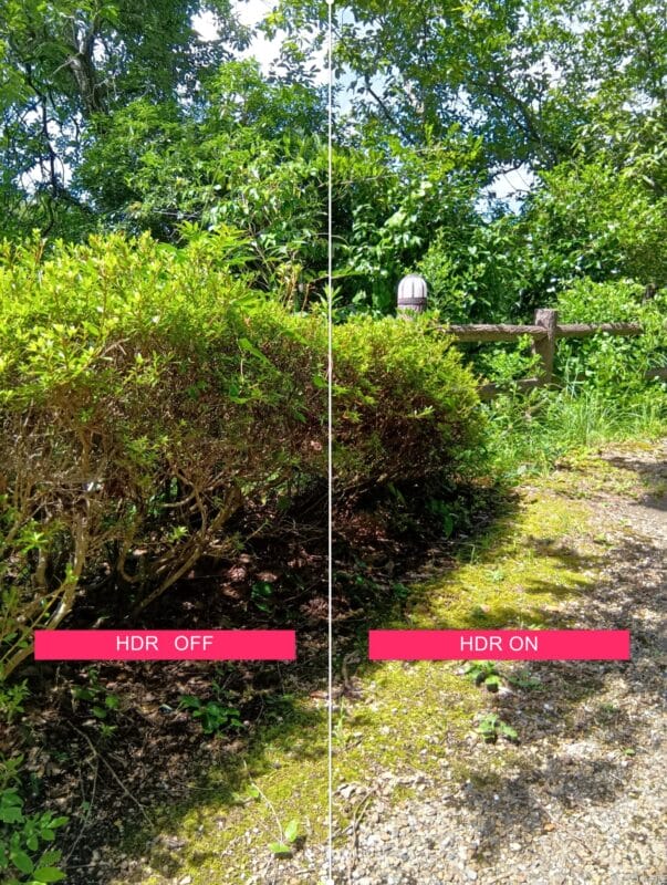 AQUOS wish4 カメラ AQUOS wish4 HDR機能の比較写真