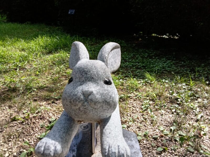 aquos wish4 インカメラで撮影したうさぎの像の写真 | モバイル比較レビュー.jp AQUOS wish4 カメラ AQUOS wish4 インカメラで撮影したうさぎの像の写真