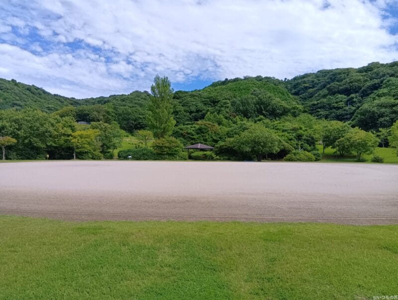 AQUOS wish4 カメラ AQUOS wish4 で撮影した風景写真