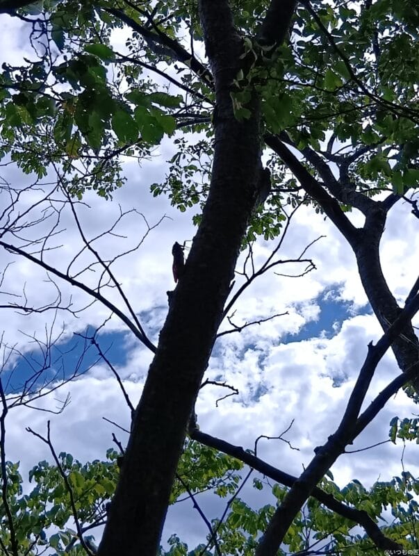 aquos wish4 で撮影した風景写真 | モバイル比較レビュー.jp AQUOS wish4 カメラ AQUOS wish4 で撮影した風景写真