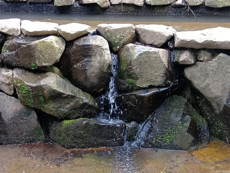 AQUOS wish4 カメラ AQUOS wish4 で撮影した風景写真