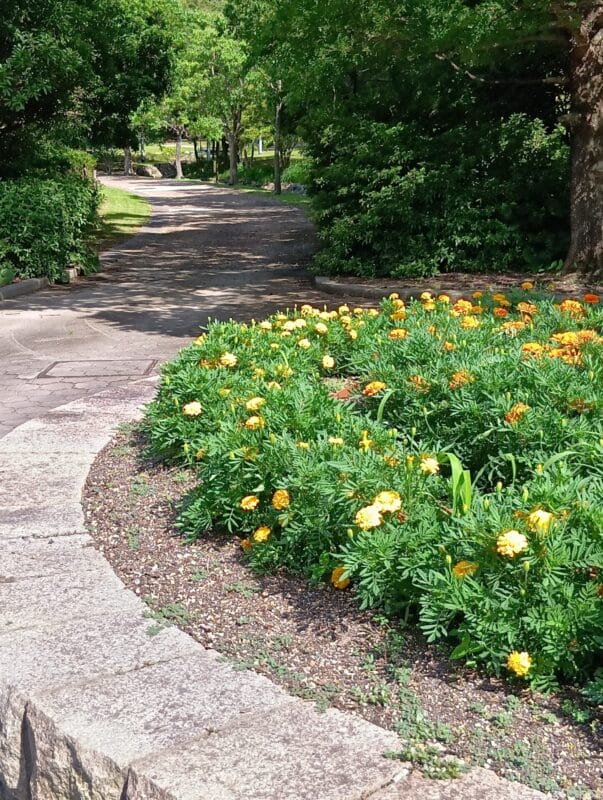 AQUOS wish4 カメラ AQUOS wish4 で撮影した風景写真