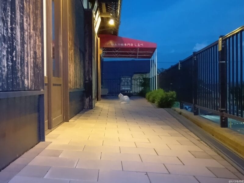 AQUOS wish4 カメラ AQUOS wish4 で夜間撮影した写真