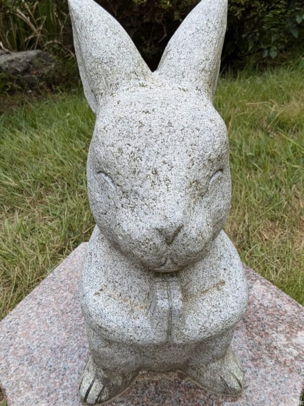 Google Pixel 9 カメラ Google Pixel 9 のインカメラで撮影した写真