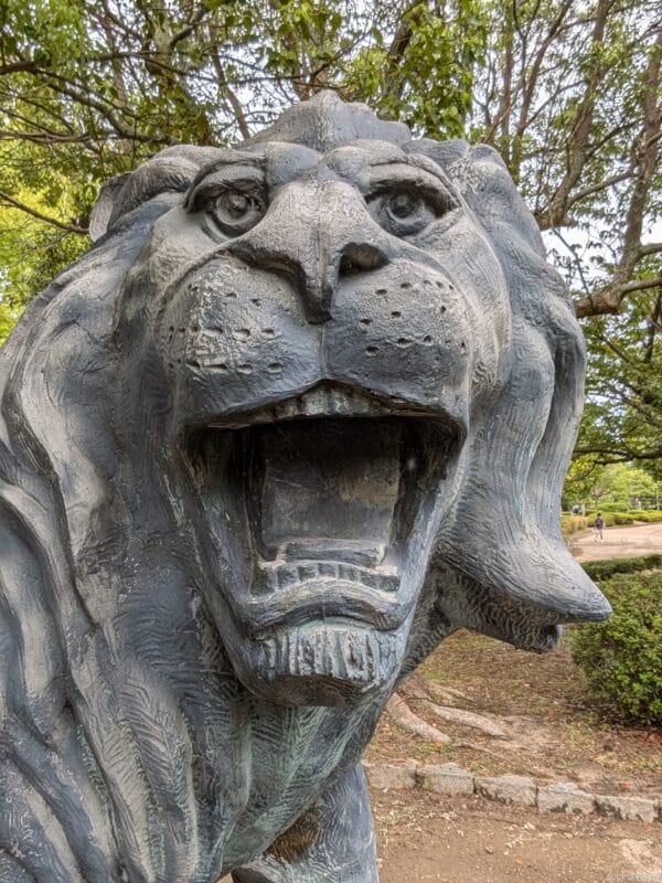 Google Pixel 9 カメラ Google Pixel 9 のインカメラで撮影した写真