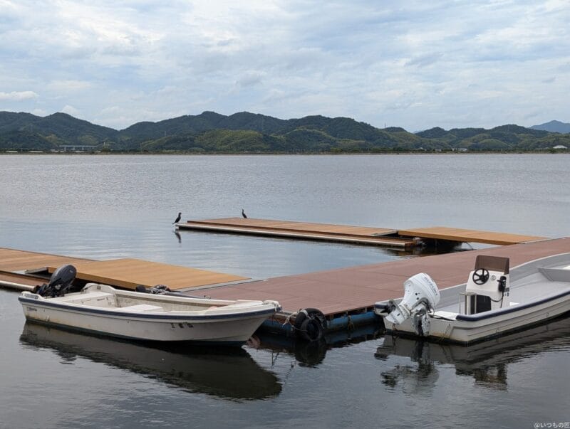 Google Pixel 9 カメラ Google Pixel 9 で撮影した風景写真