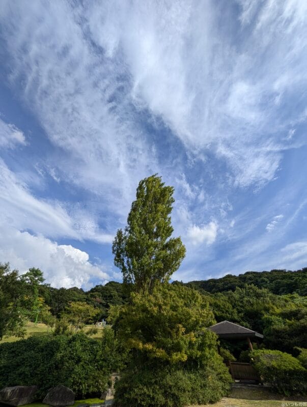 Google Pixel 9 カメラ Google Pixel 9 で撮影した風景写真