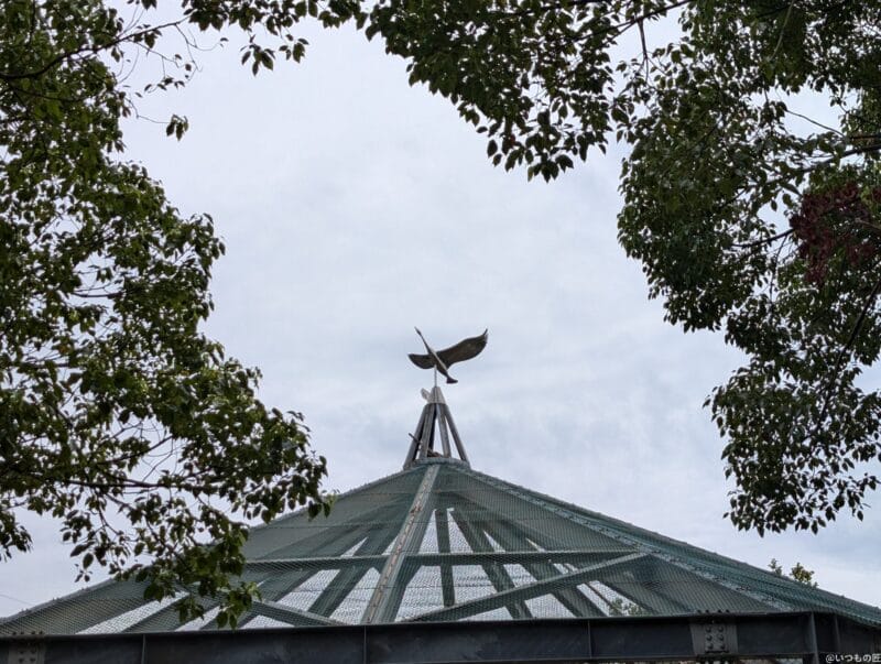 Google Pixel 9 カメラ Google Pixel 9 で撮影した風景写真