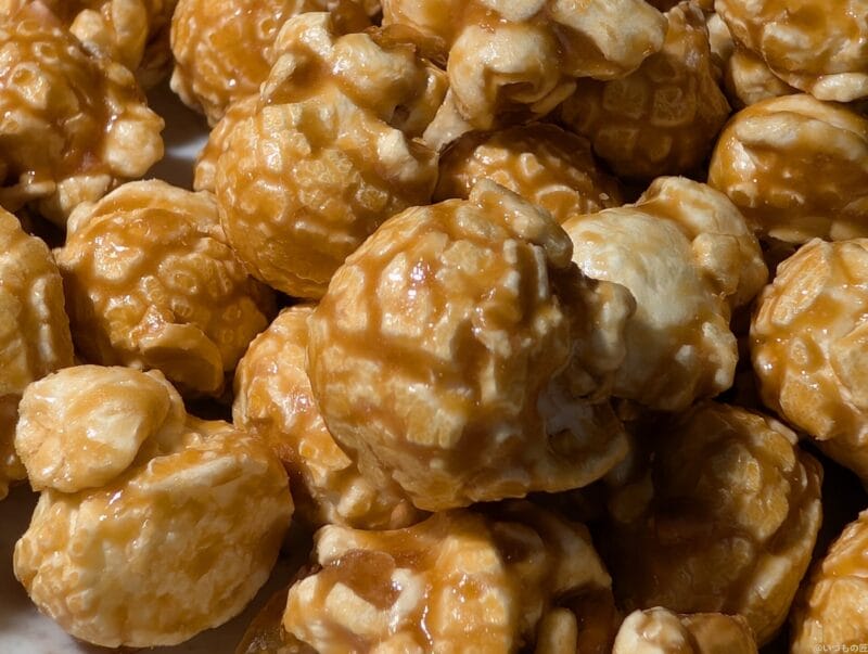 Google Pixel 9 カメラ Google Pixel 9 でマクロ撮影した写真