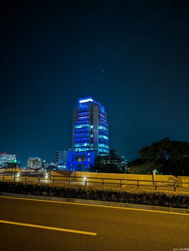 Google Pixel 9 カメラ Google Pixel 9 でズーム撮影した夜間写真