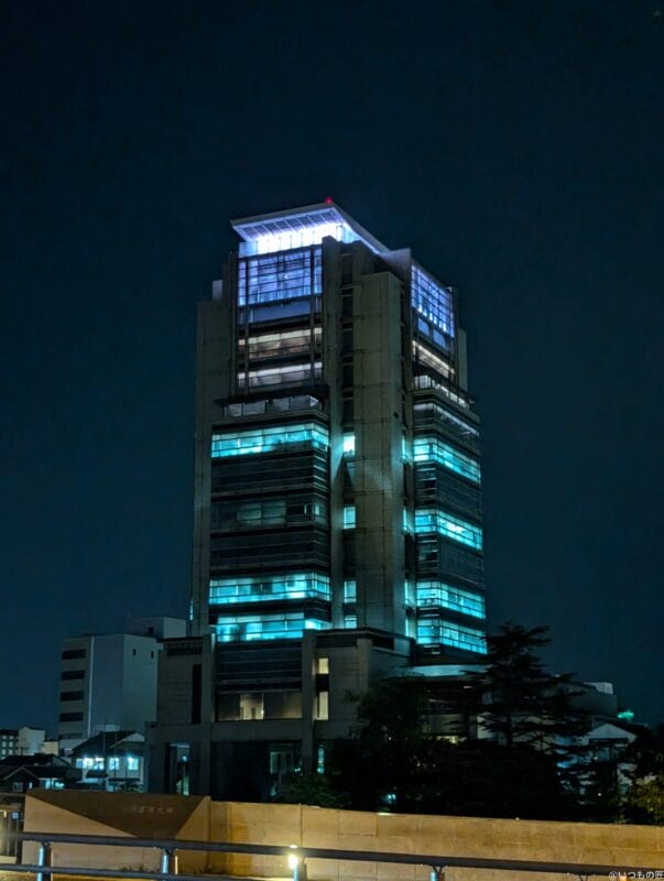 Google Pixel 9 カメラ Google Pixel 9 でズーム撮影した夜間写真