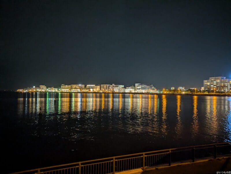 Google Pixel 9 カメラ Google Pixel 9 でズーム撮影した夜間写真