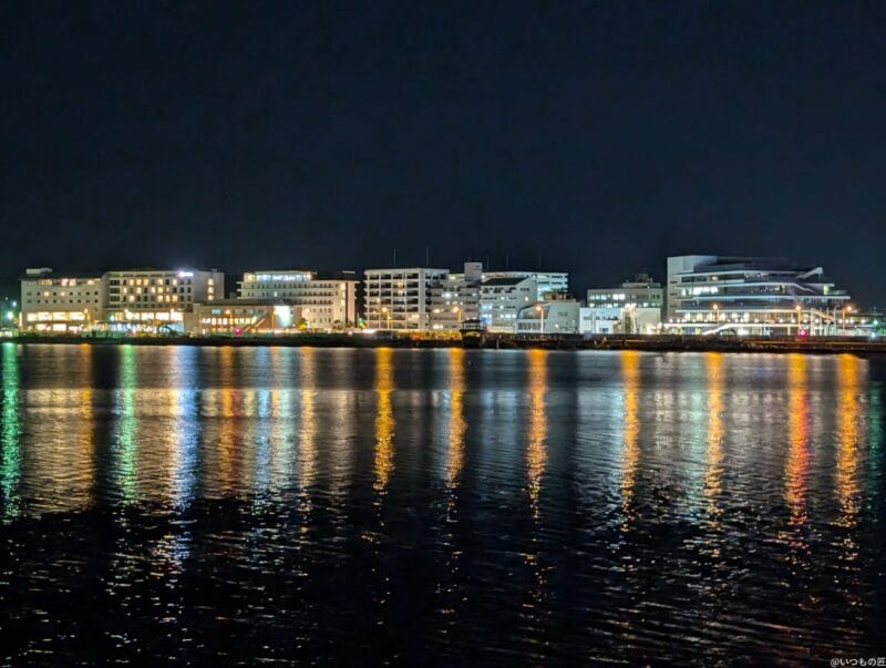 Google Pixel 9 カメラ Google Pixel 9 でズーム撮影した夜間写真