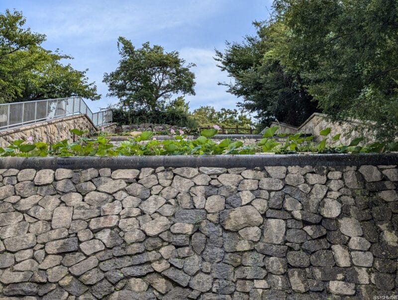 Google Pixel 9 カメラ Google Pixel 9 でズーム撮影した風景