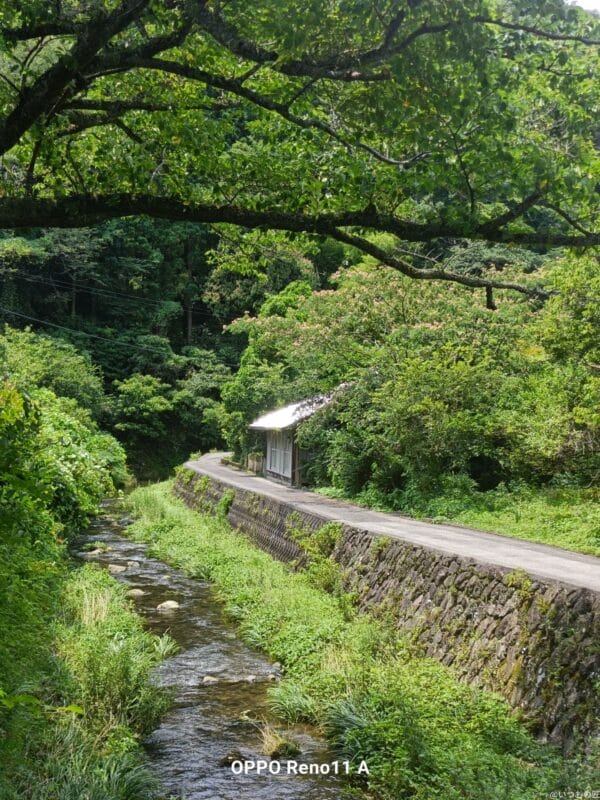 OPPO Reno11 A カメラ OPPO Reno11 AでHDR撮影した写真