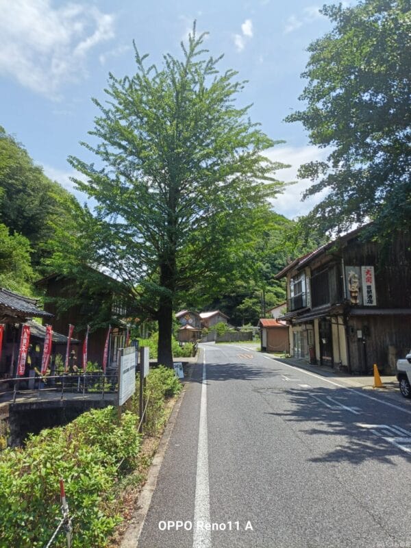 oppo reno11 a カメラ oppo reno11 a カメラの風景写真 | モバイル比較レビュー.jp OPPO Reno11 A カメラ OPPO Reno11 A カメラの風景写真