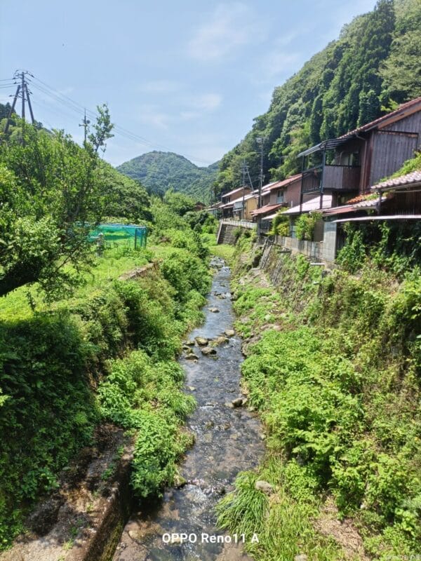 OPPO Reno11 A カメラ OPPO Reno11 A カメラの風景写真