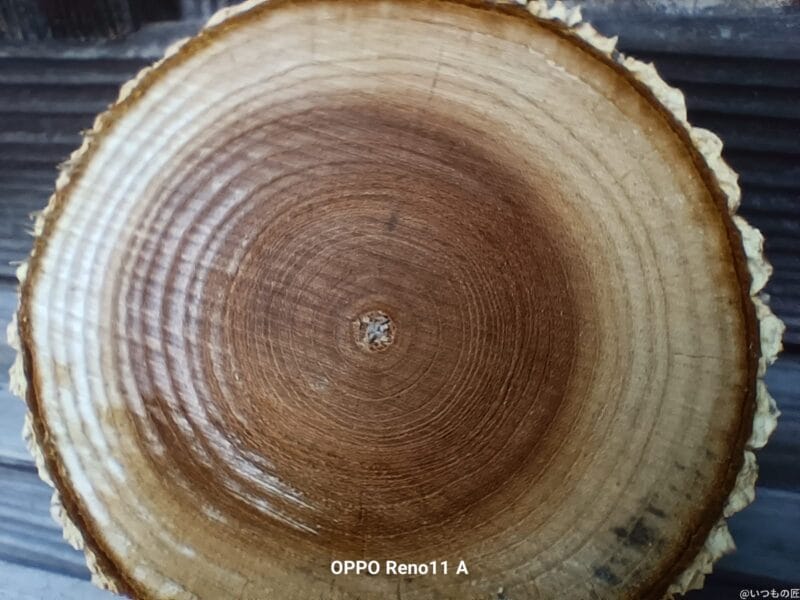 OPPO Reno11 A カメラ OPPO Reno11 Aでマクロ撮影した写真