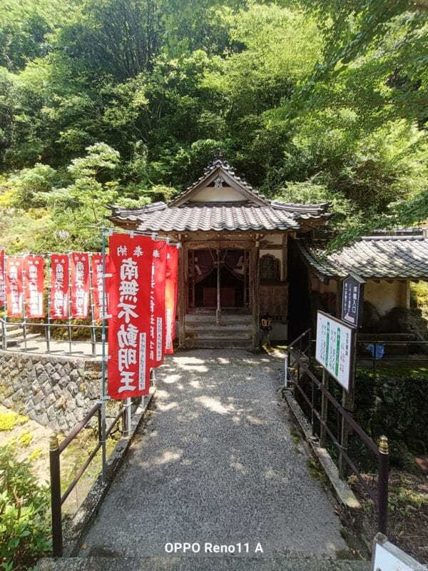 OPPO Reno11 A カメラ OPPO Reno11 A カメラの風景写真