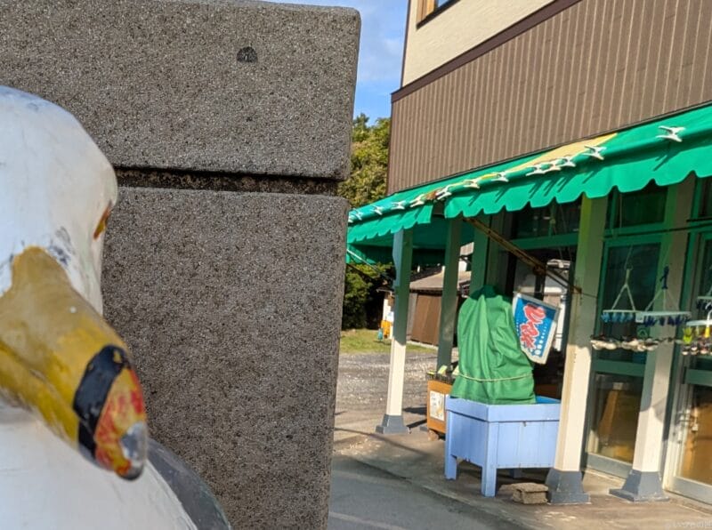 Google Pixel 8a カメラ Google Pixel 8aのインカメラで撮影した写真