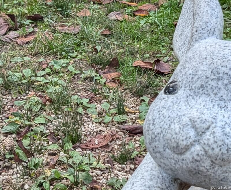 Google Pixel 8a カメラ Google Pixel 8aのインカメラで撮影した写真