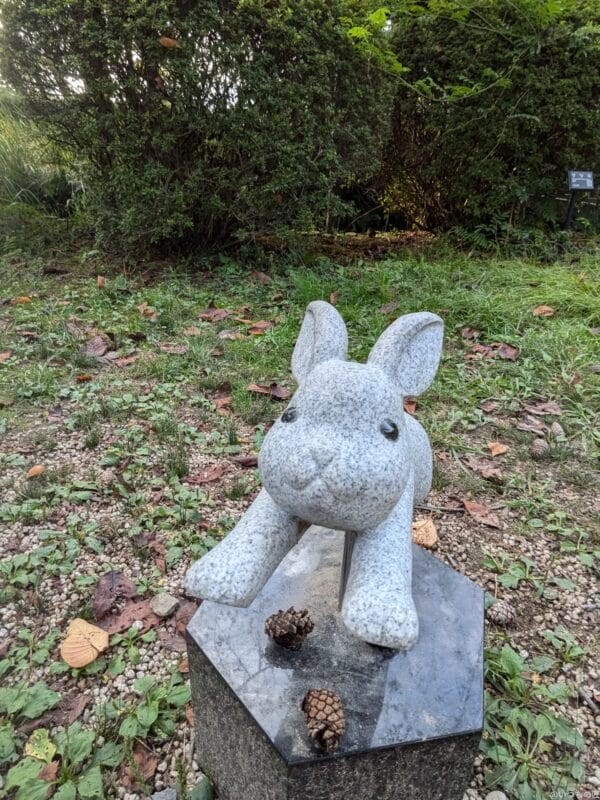 Google Pixel 8a カメラ Google Pixel 8aのインカメラで撮影した写真