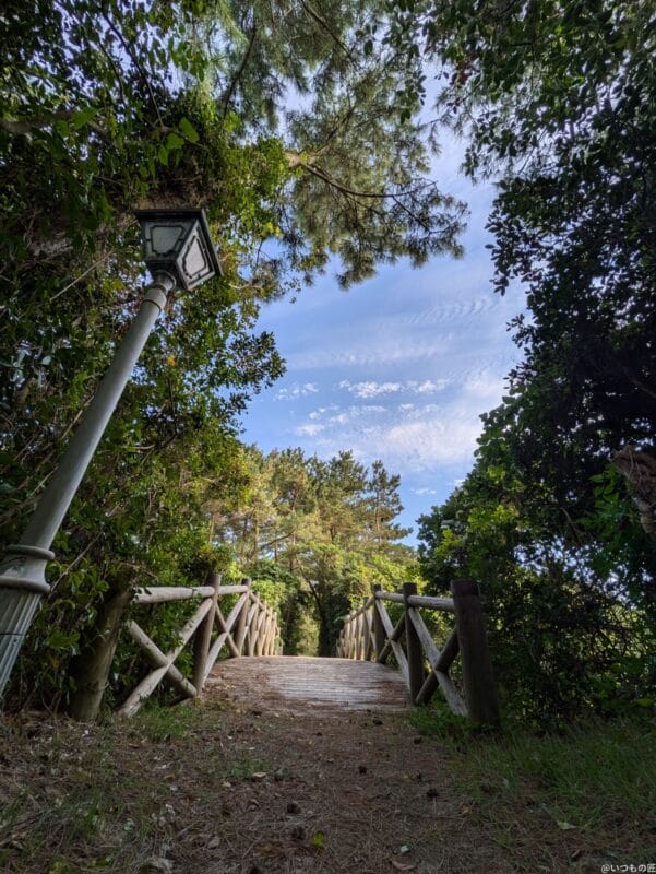 Google Pixel 8a カメラ Google Pixel 8aで撮影した風景写真