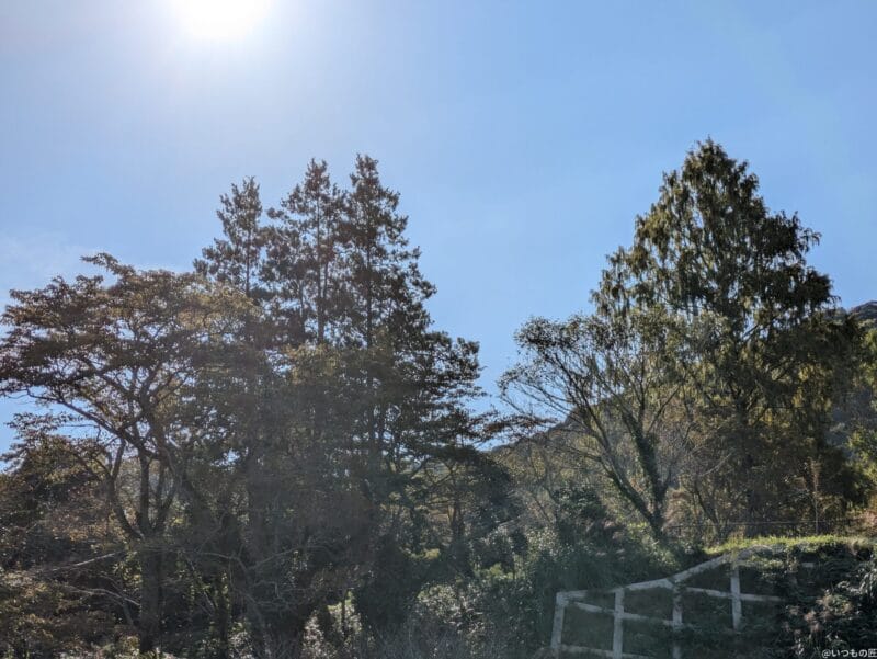 Google Pixel 8a カメラ Google Pixel 8aで撮影した風景写真