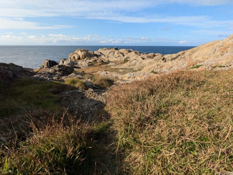 Google Pixel 8a カメラ Google Pixel 8aで撮影した風景写真