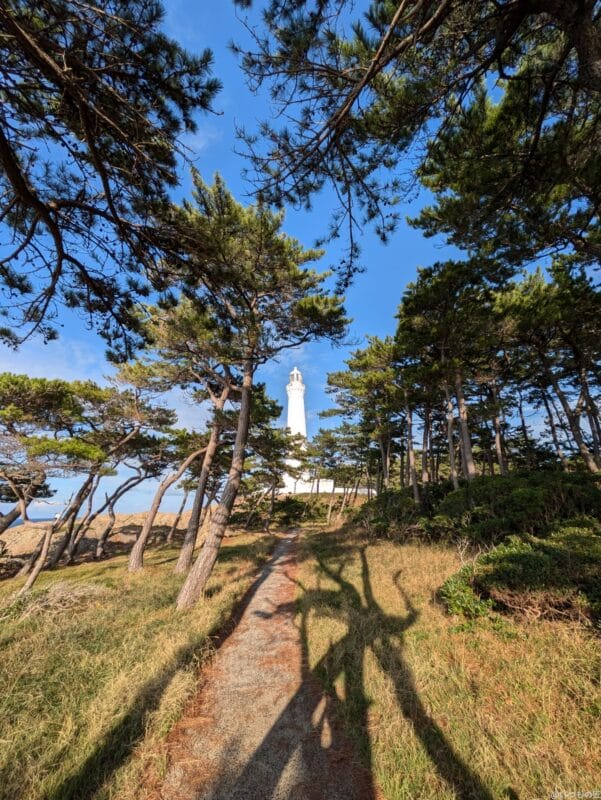 Google Pixel 8a カメラ Google Pixel 8aでズーム撮影した写真