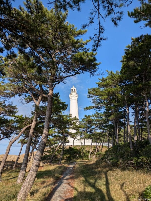 Google Pixel 8a カメラ Google Pixel 8aでズーム撮影した写真