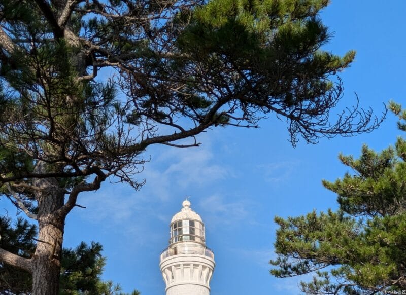 Google Pixel 8a カメラ Google Pixel 8aでズーム撮影した写真