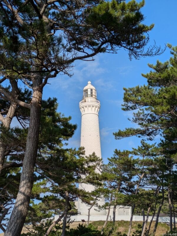 Google Pixel 8a カメラ Google Pixel 8aでズーム撮影した写真